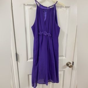 Precious, sleeveless purple dress.   Size medium.